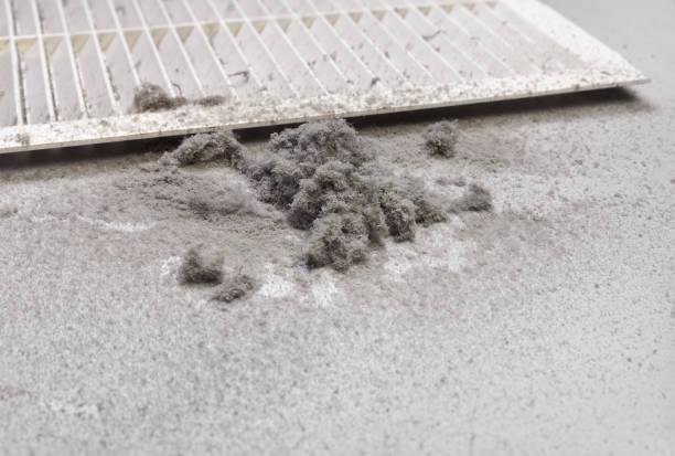 Best Residential Air Duct Cleaning  in Dupo, IL