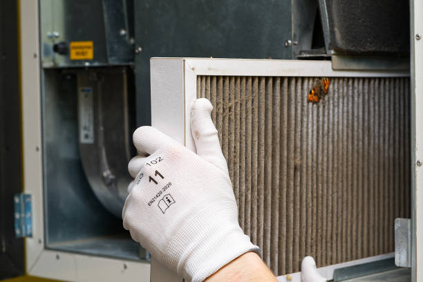 Best Affordable Air Duct Cleaning  in Dupo, IL