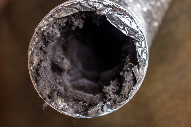 Best Home Air Vent Cleaning  in Dupo, IL