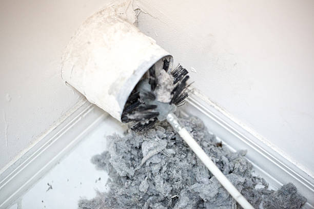 Best Local Air Duct Cleaning Services  in Dupo, IL